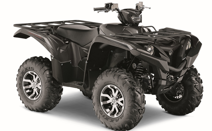 2016 Grizzly Special Edition in Carbon Metallic