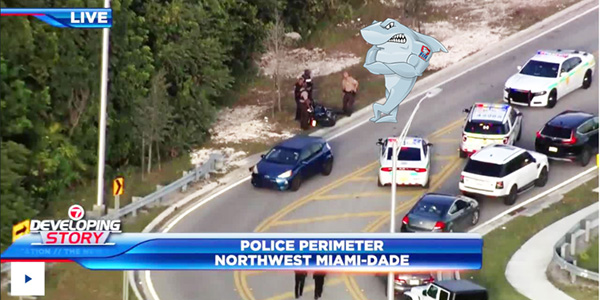 FIN GPS, Miami, high-speed chase